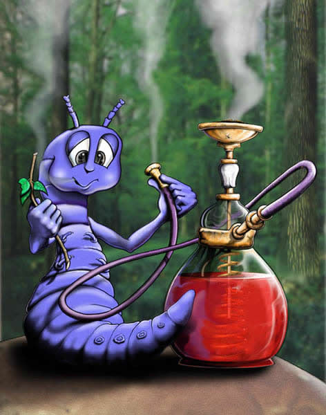 Alices' Caterpillar Illustration